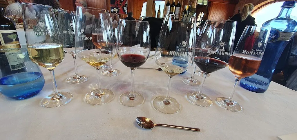 Aitor Fernandez Goñi_Restaurante Castillo de Monjardín_Abáigar_review