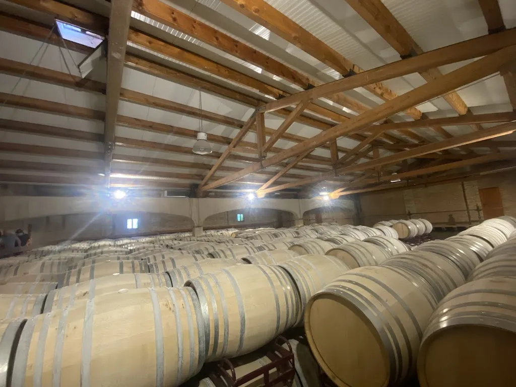 Xabier Lukas Solano_Restaurante Castillo de Monjardín_Abáigar_review