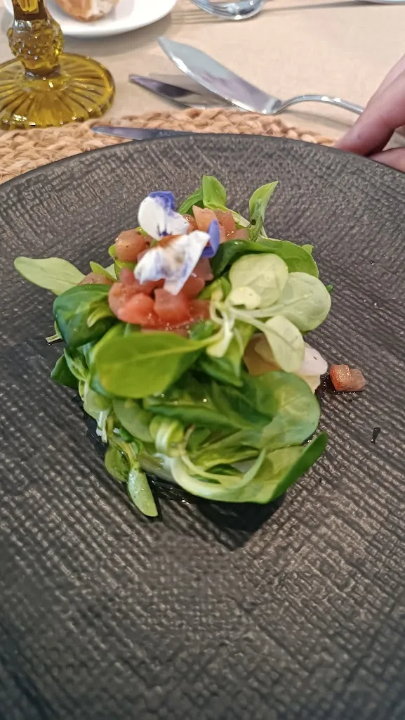 Isabel S_Palacio de la Vega_Abáigar_review