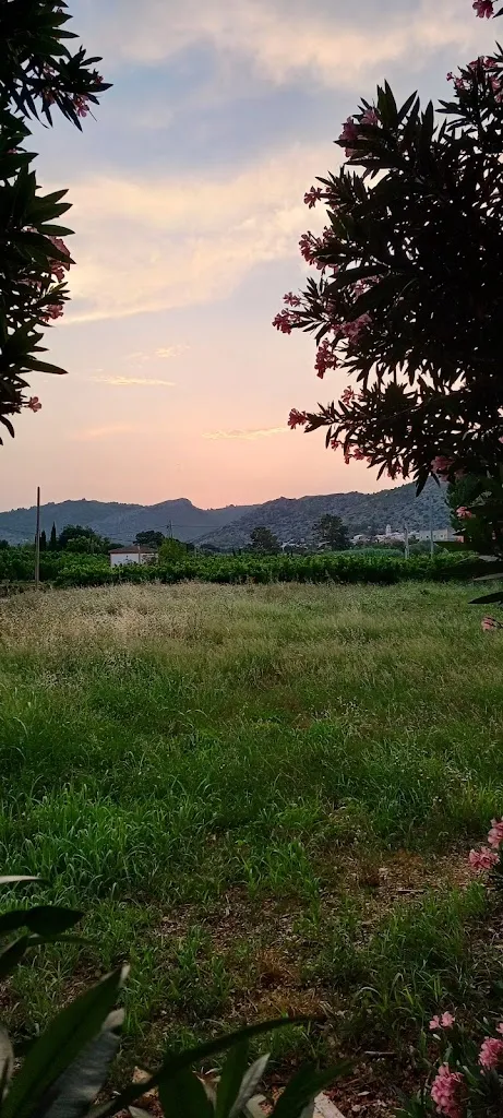 Loubna Er Ramouchy_La Bolata Vintage_Sanet y Negrals_review