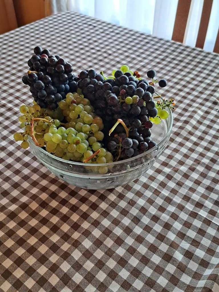 Menu_Cafetería Restaurante Camping Iratxe_Abáigar_image_9