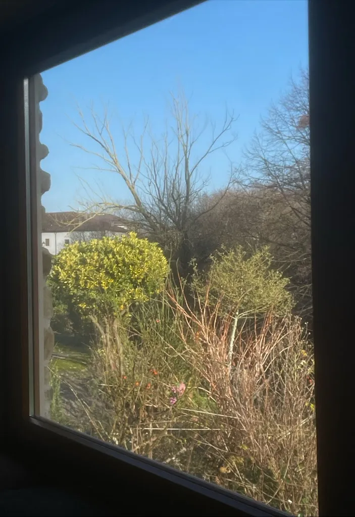 Víctor Etxebarria_Anixeta_Aranarache_review