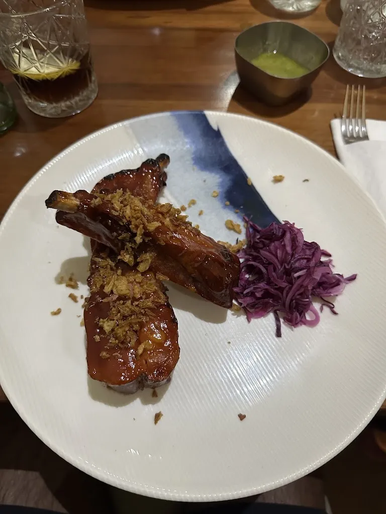 Anish Rajapakse_Boka_Torre-Pacheco_review