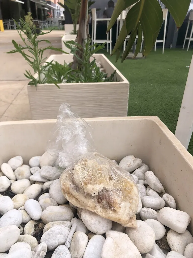 Tecopa_Shamrock Bar & Restaurant_Torre-Pacheco_review