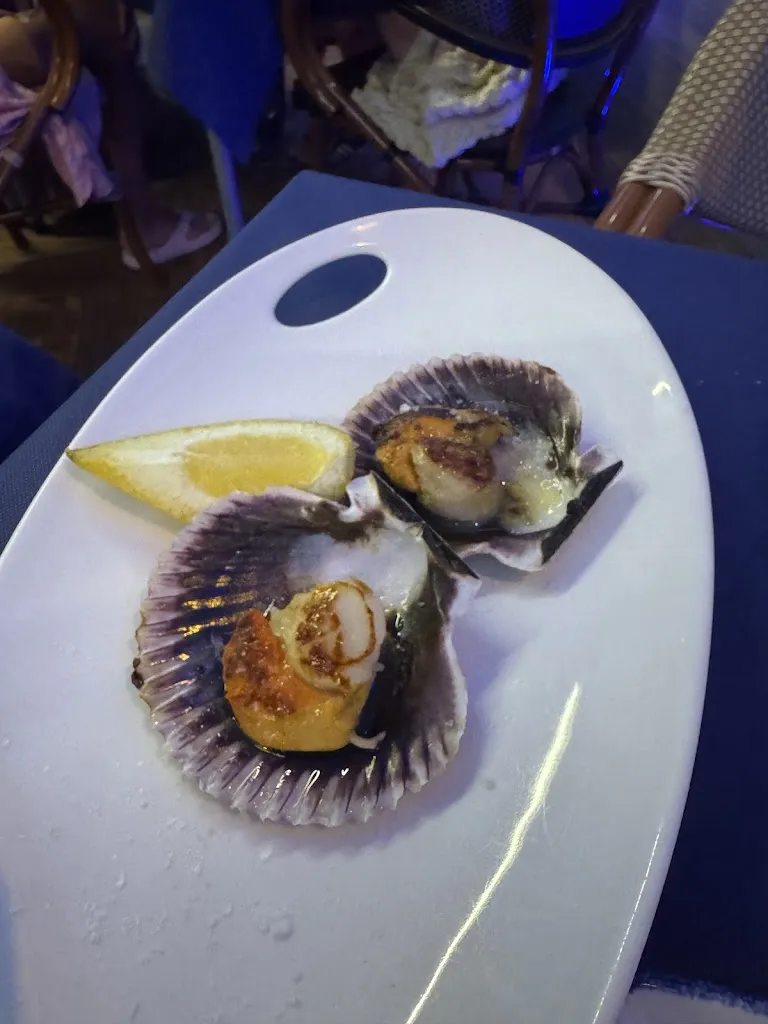 Maddy Mills_Nou Arcos_Arcos Los_review