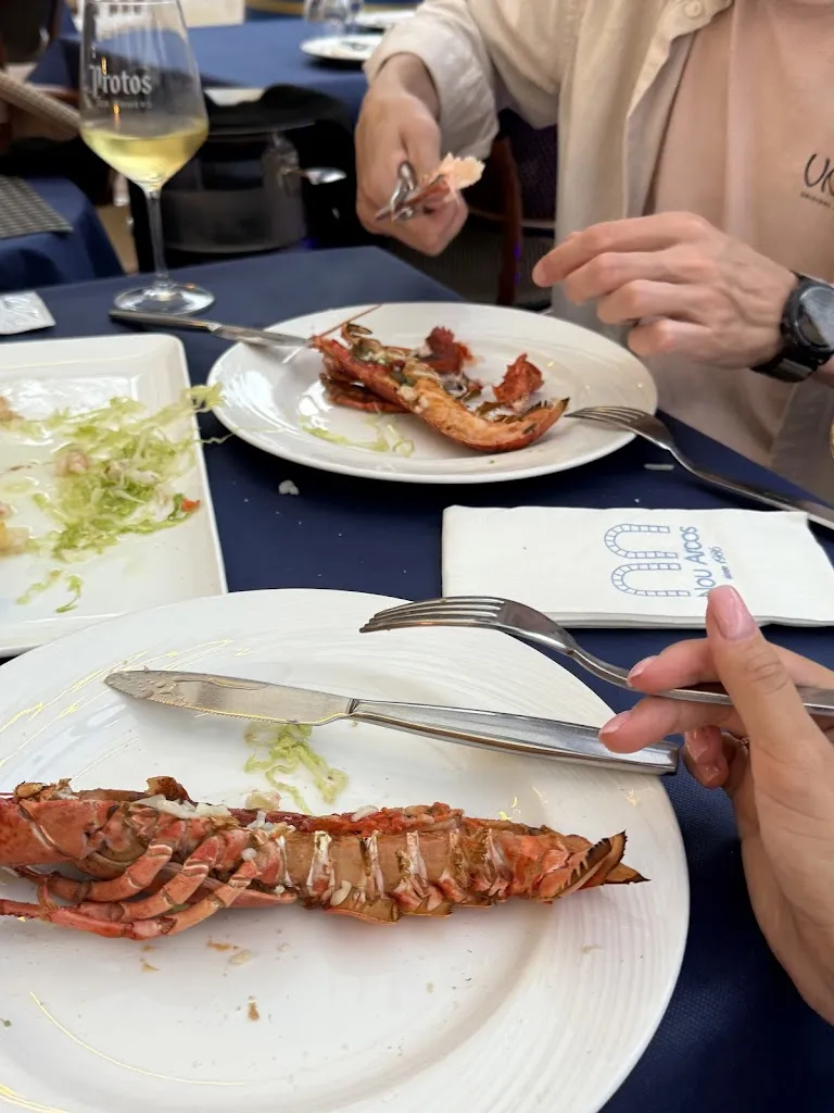 Liliia Savitska_Nou Arcos_Arcos Los_review