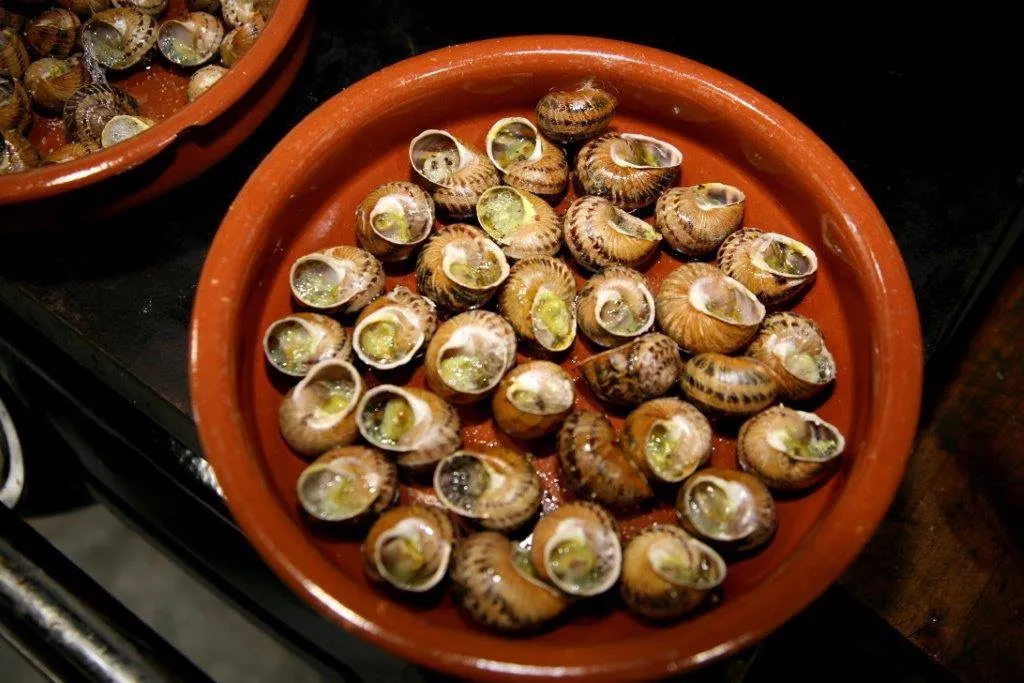 La Brasserie de Belén Floristán_Arguedas_slider_image_3