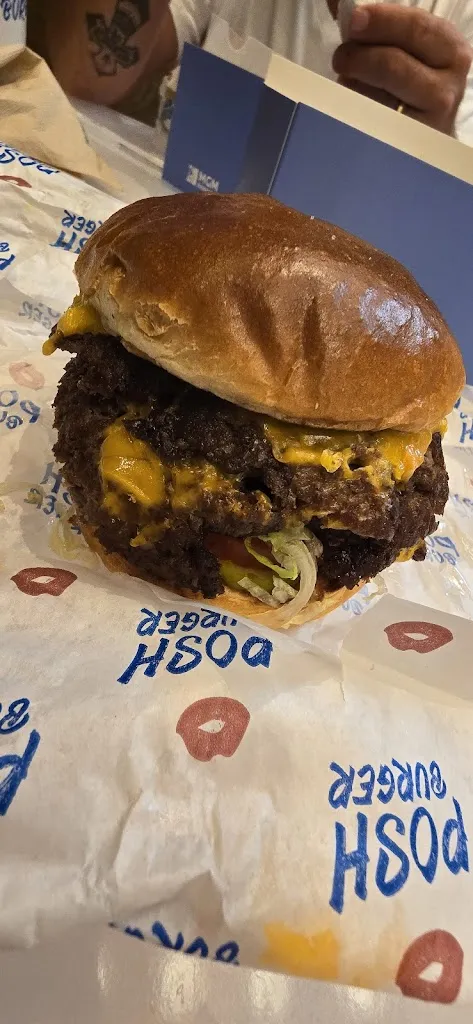 Robert Goolsby_Posh Burger_Aria_review