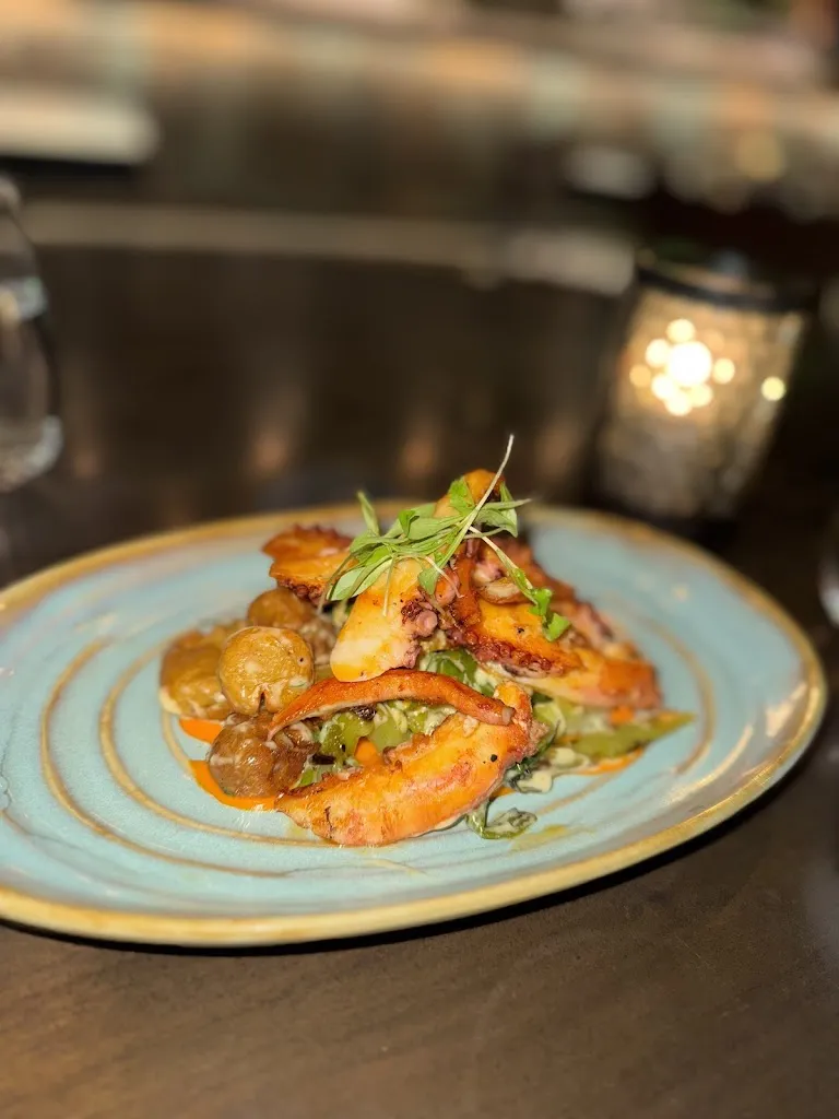 SZ 1_CATCH_Aria_review