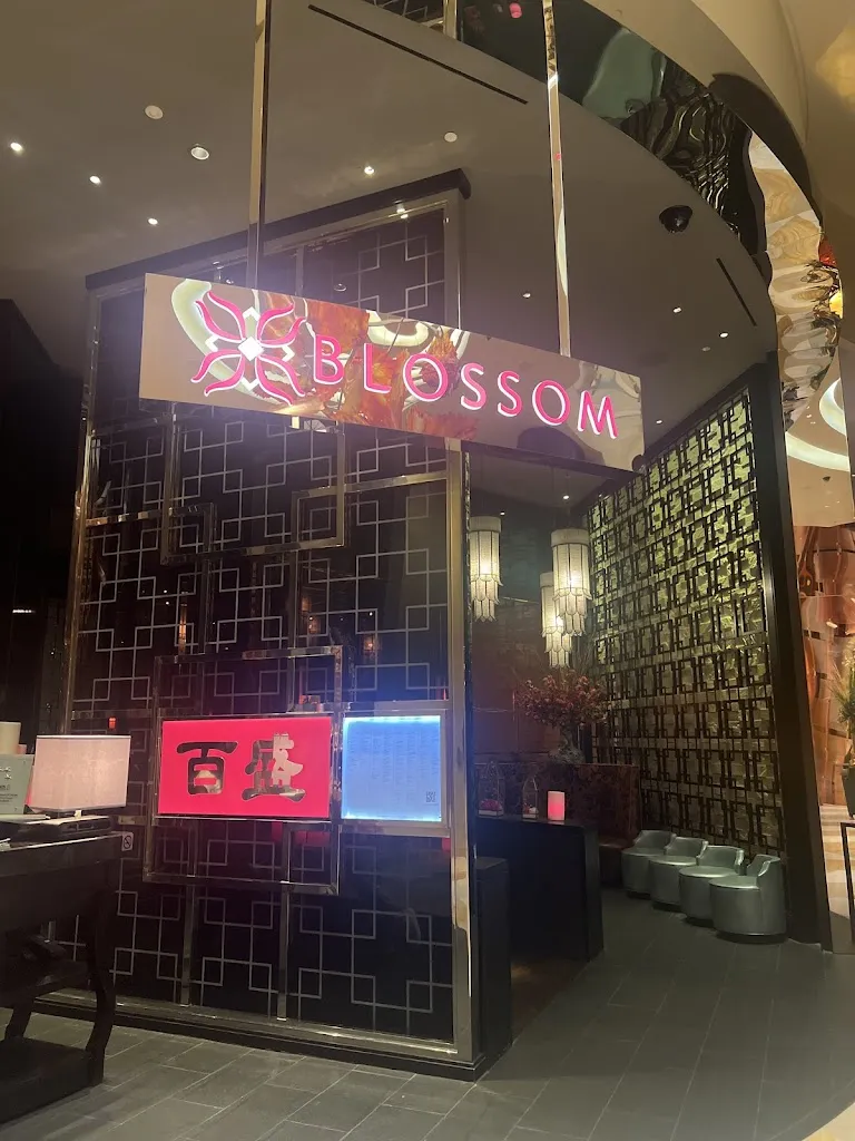 Blossom_Aria_slider_image_3