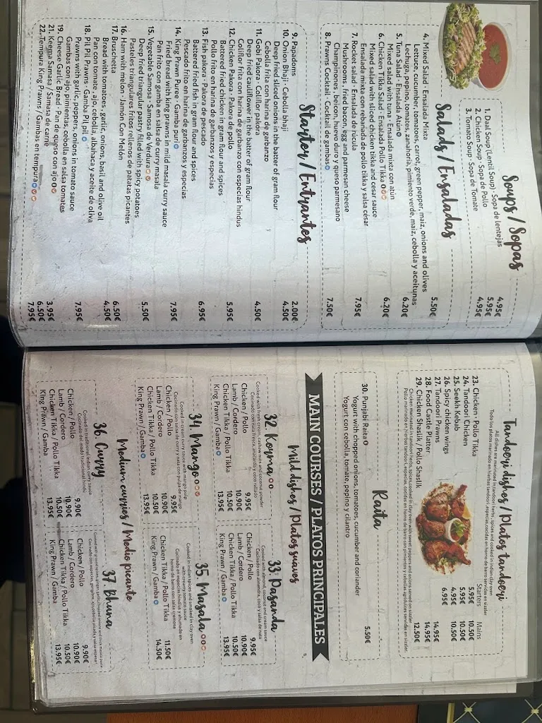 Menu_Food Castle Restaurant -Best Indian Mexican Restaurant_Pilar de la Horadada_image_3