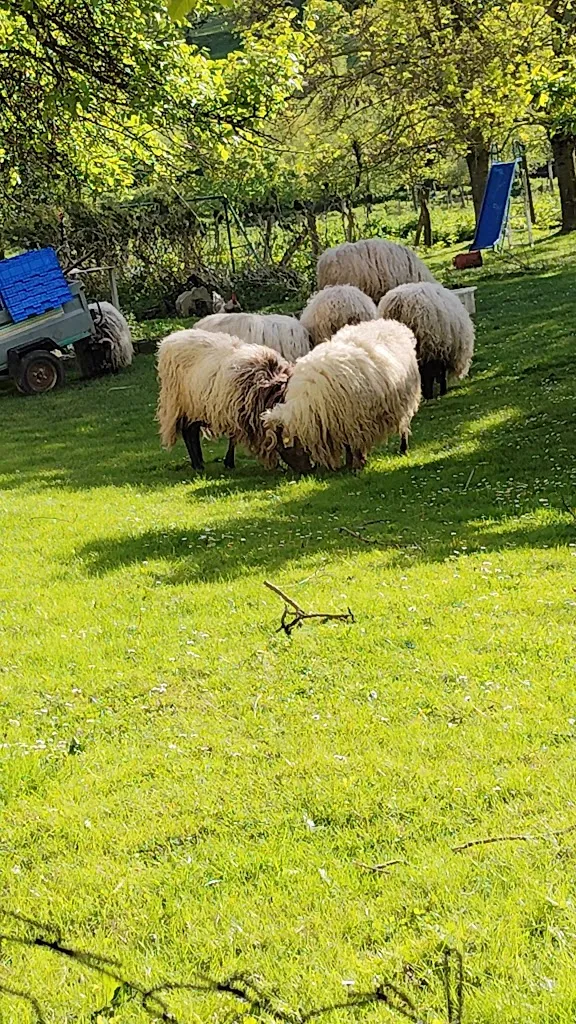 Esther De Miguel_Udabeko Benta Jatetxea_Basaburua_recensione