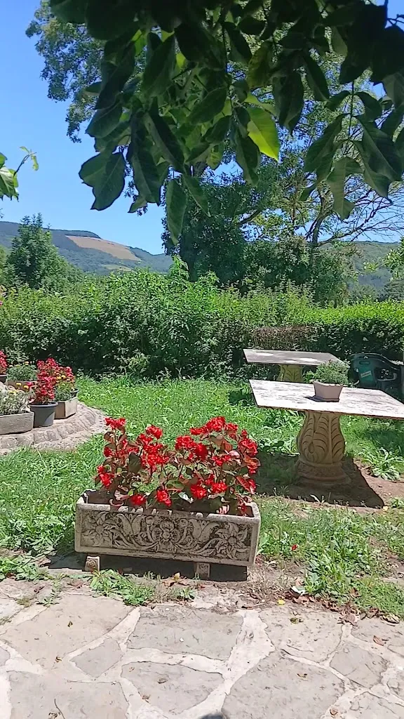 Positivo Optimo_Udabeko Benta Jatetxea_Basaburua_recensione