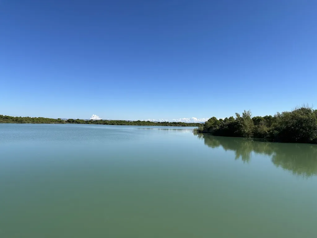 Jose Manuel Galindo_Restaurante El Ferial_Caparroso_review