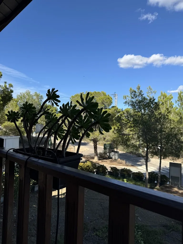 Dariusz Średnicki_MESÓN RÍO SECO._Pilar de la Horadada_review