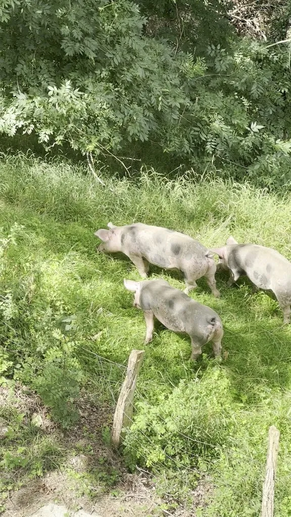 Nicole J_Arantza Hotela - Boutique Hotel Spa Eco 