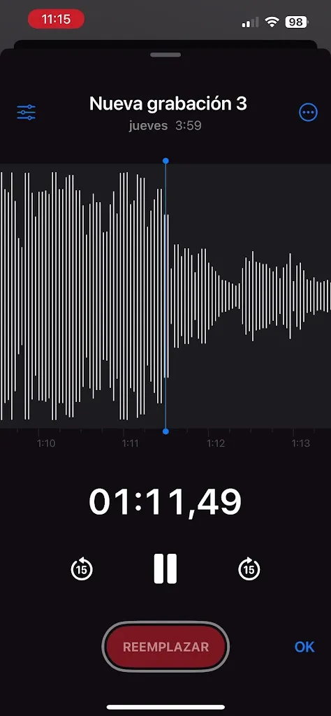 Ander Urueña_Erribera Jatetxea_Cintruénigo_Bewertung