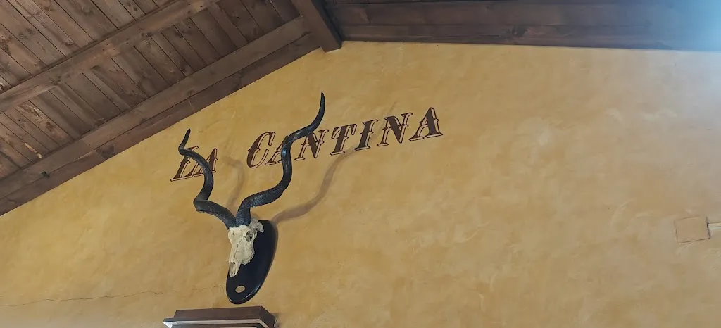 Carmen MARTINEZ GIMENEZ_La Cantina_Cintruénigo_review