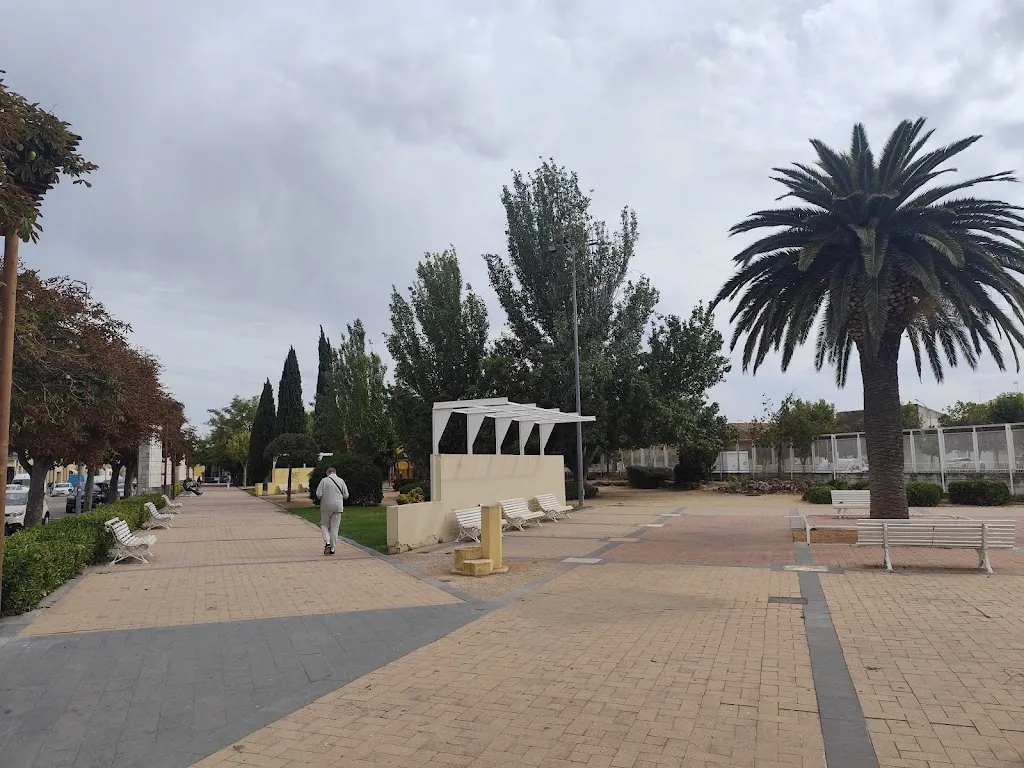 Bar Avenida 31592 Cintruénigo, Navarra_Cintruénigo_slider_image_2