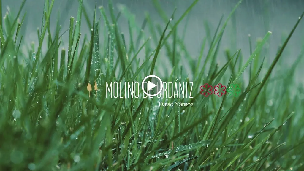 El Molino de Urdániz y Origen_Enériz/Eneritz_slider_image_2