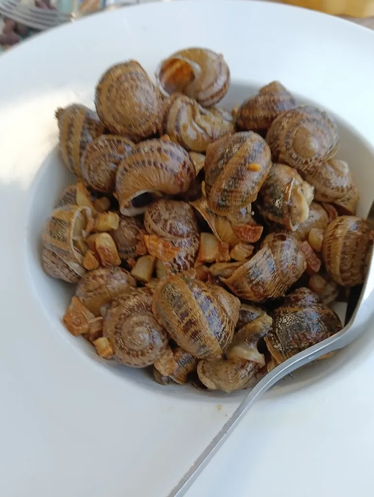 Beatriz Bar Restaurante_Fontellas_slider_image_3