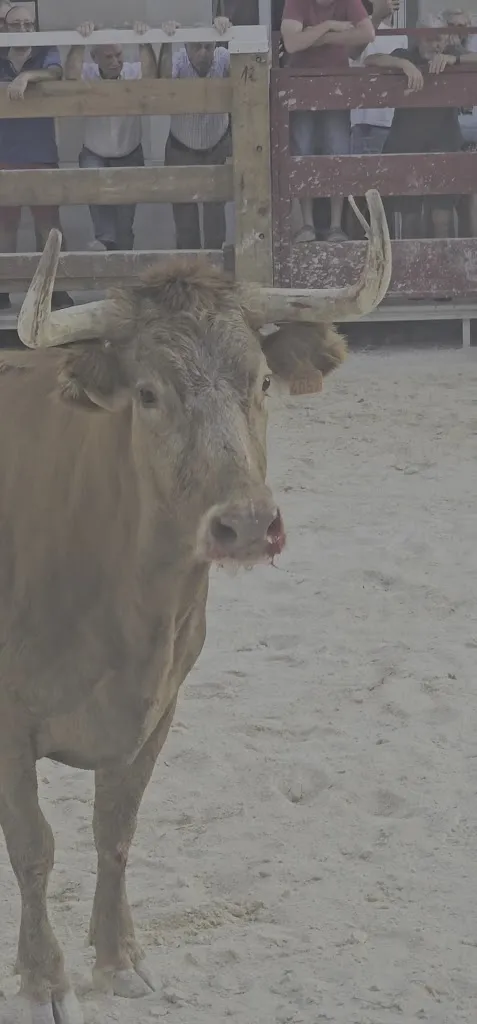 Brava Jalui S.L._Fustiñana_slider_image_2