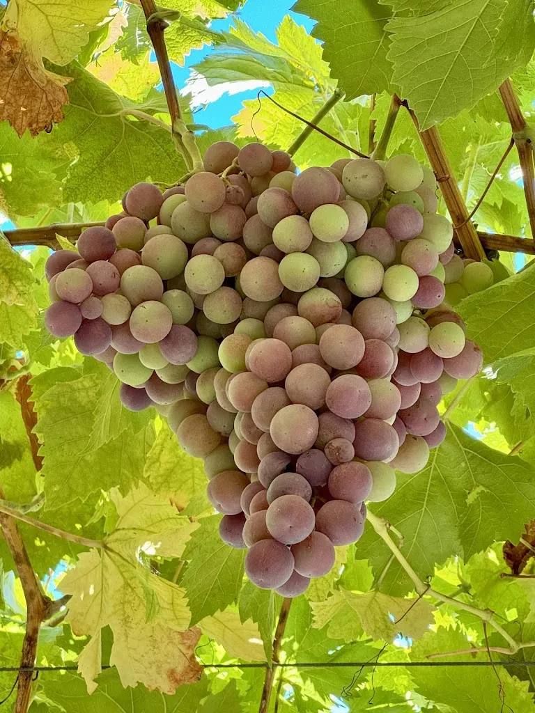 Annick P_Heredad Beragu Boutique & Nature Retreat- Hotel Adults Only. Web Oficial_Gallipienzo_review