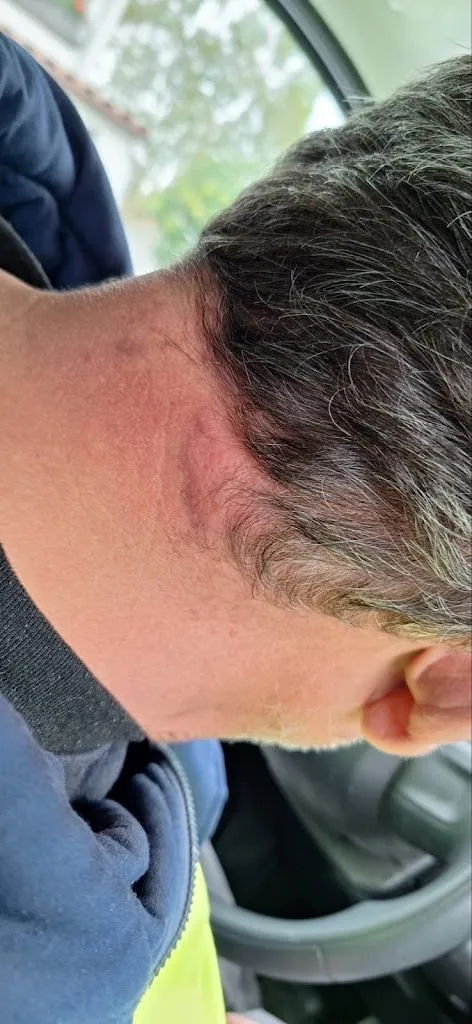 Rafael Castro Rubio_Restaurante Ardoi_Cizur_review