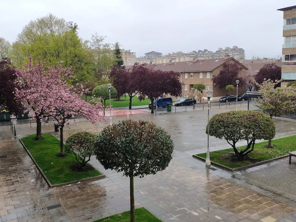 Bar El Olmo Taberna_Cizur_slider_image_3