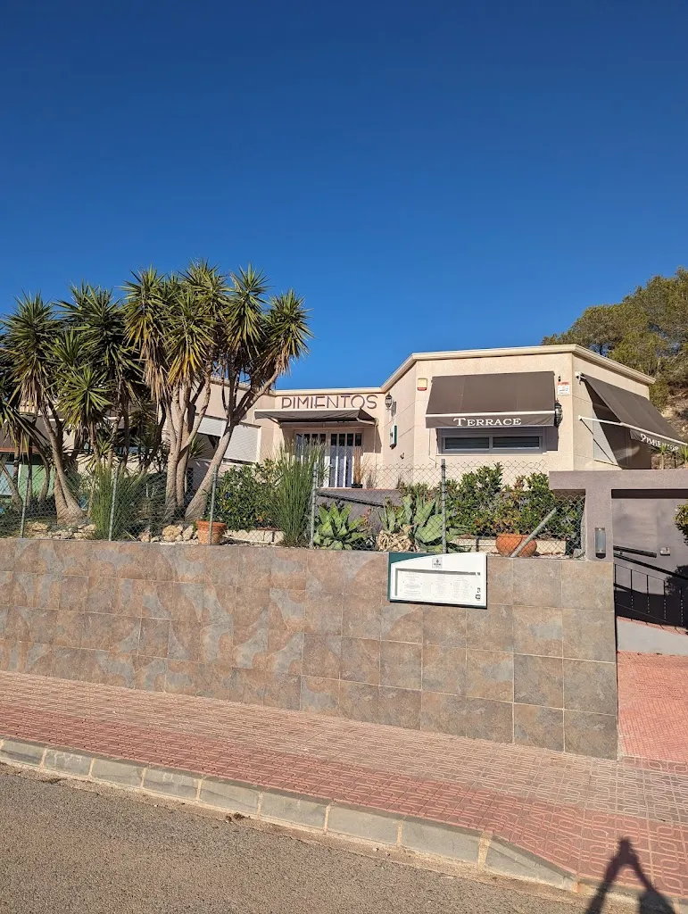 Karen Hughes_Pimientos Restaurant, Terrace & Wine Shop_San Miguel de Salinas_review