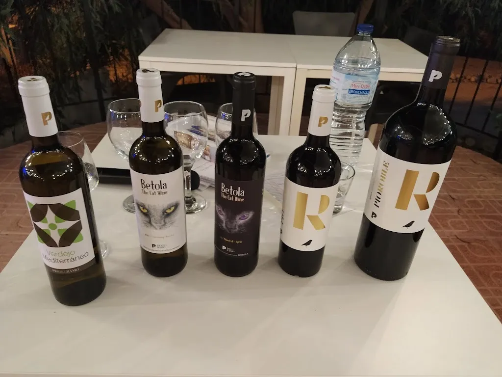 Har Chee Foong_Pimientos Restaurant, Terrace & Wine Shop_San Miguel de Salinas_review