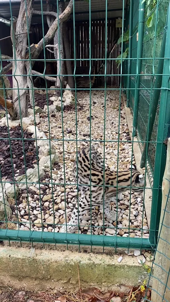 Saioa Igoa Arrieta_Granja escuela Basabere_Lezáun_recensione