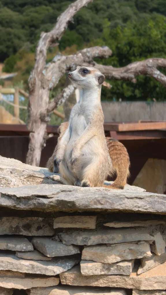 Vicente Serrulla_Granja escuela Basabere_Lezáun_recensione