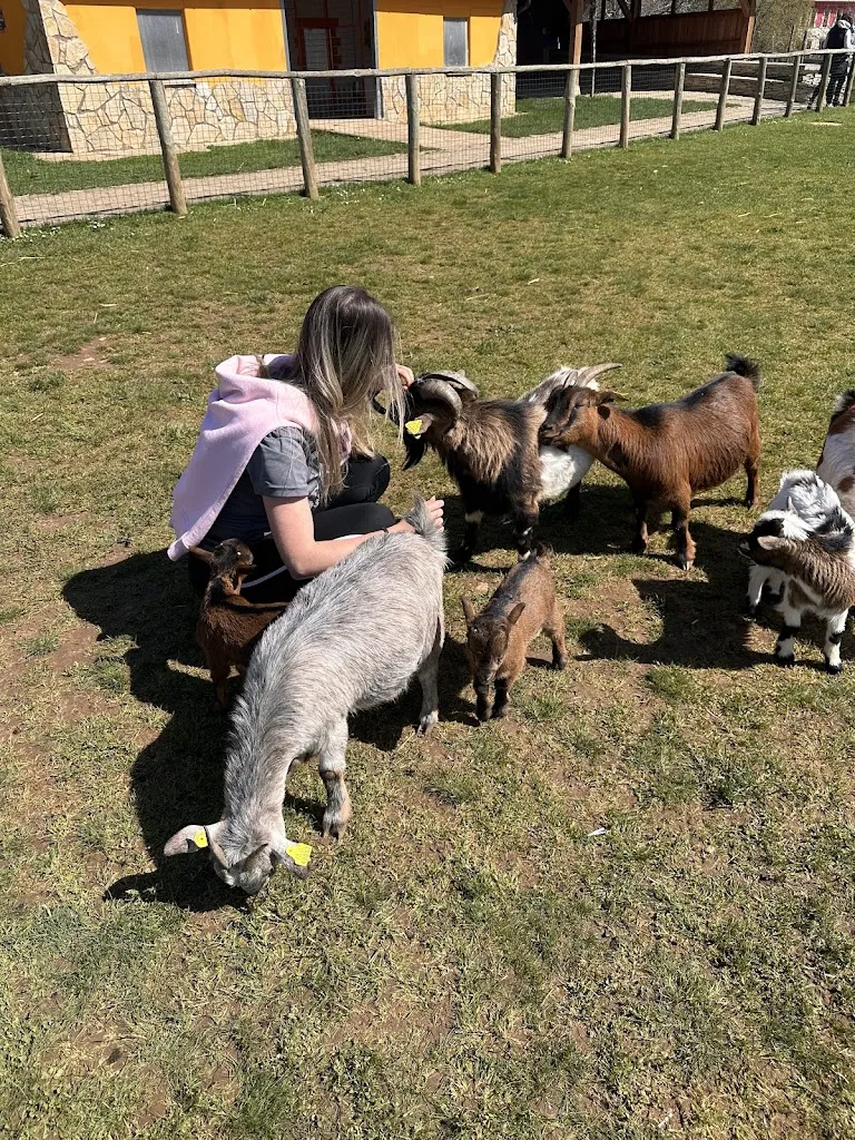 Josu Ramirez_Granja escuela Basabere_Lezáun_recensione