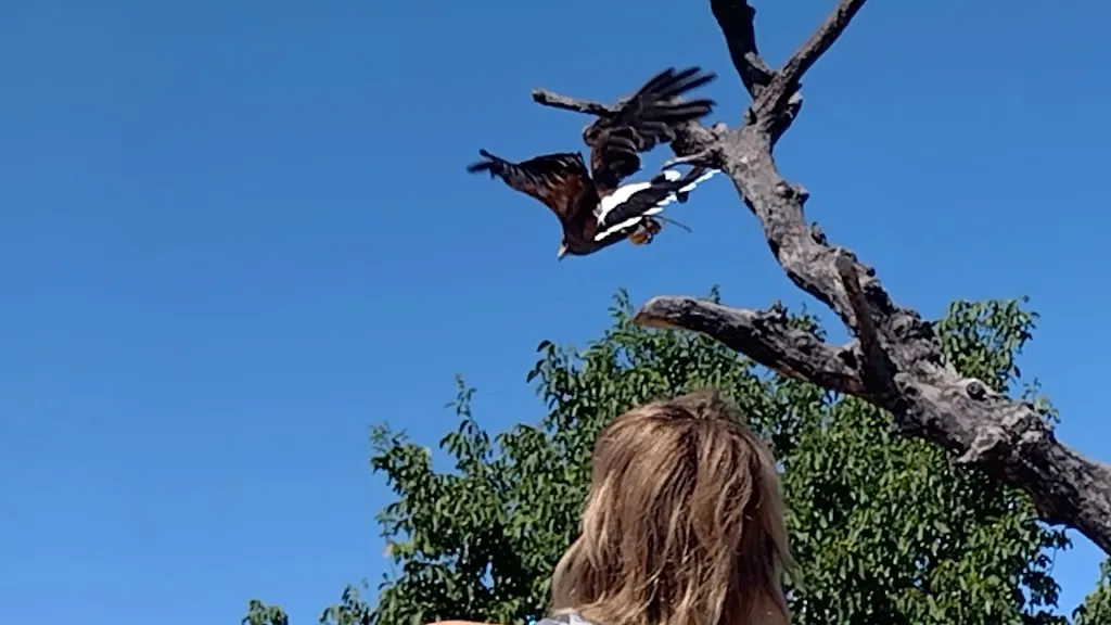 Granja escuela Basabere_Lezáun_slider_image_2