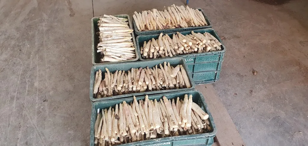 Menu_Restaurante la Cadena_Lerín_image_6