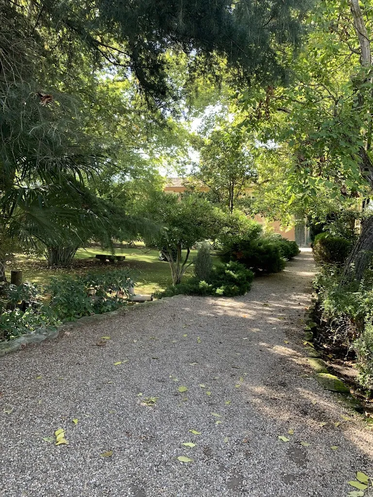 Max Verstappen_Restaurante Villa Marcilla_Marcilla_review