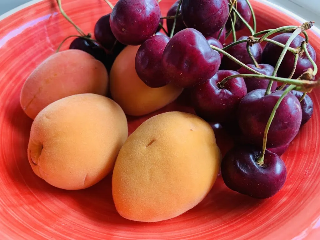 Ana Ayllón_Dehesa El Milagro | Productos Ecológicos_Milagro_review