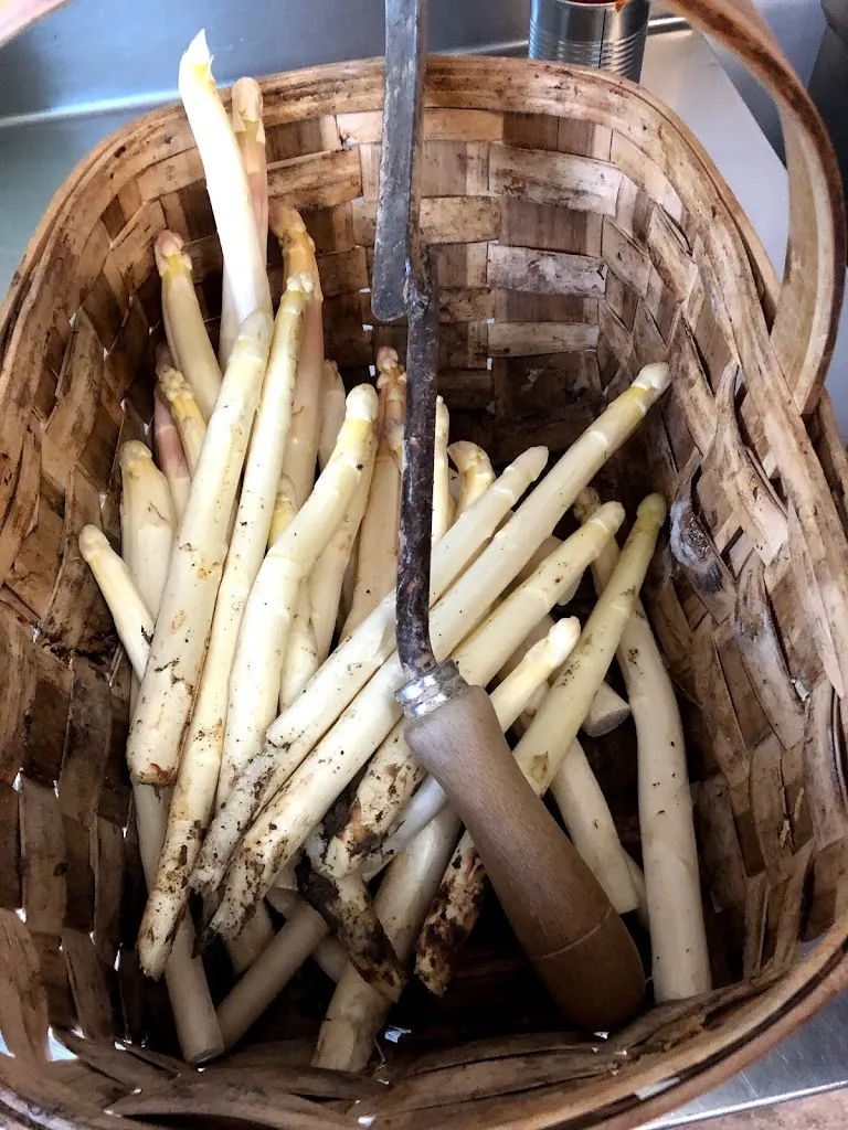 /_Obanos_slider_image_3