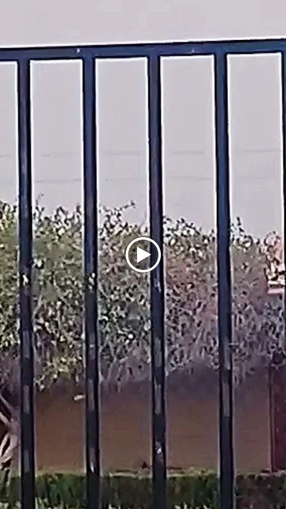 Restaurante Griego Kyknos_Sant Joan dAlacant_slider_image_2