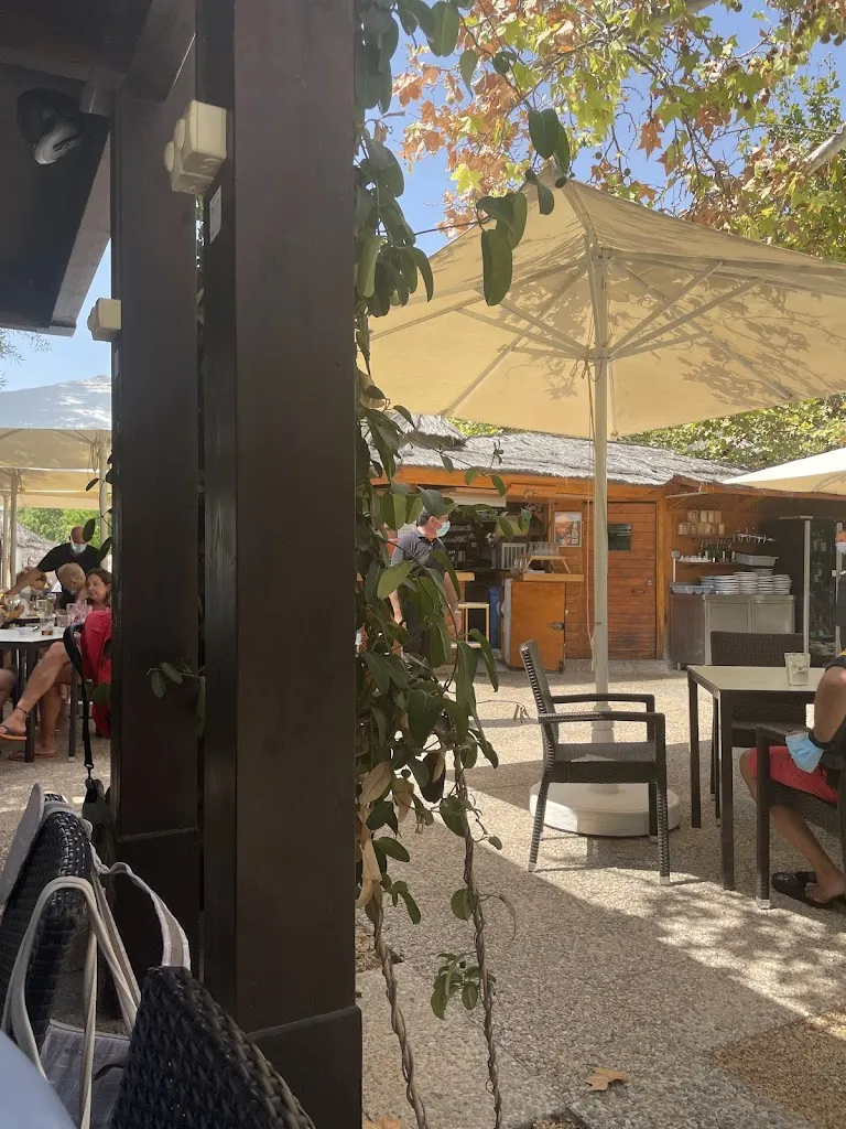 Fernando Martínez_Restaurante Los Olivos_Sant Joan dAlacant_review