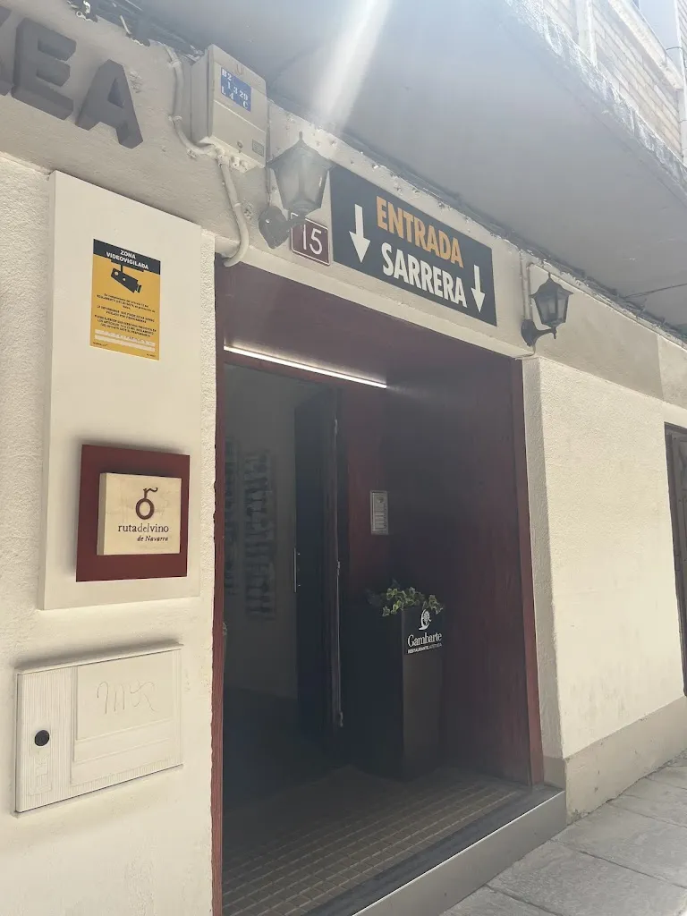 Selene_Gambarte_Olite_review