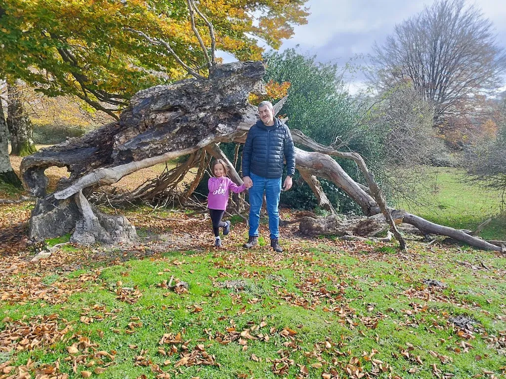 Jose Antonio Muñoz_Venta Mendinagusi WILLY TXABOLA_Piedramillera_review