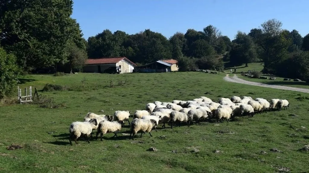 Venta Mendinagusi WILLY TXABOLA_Piedramillera_slider_image_2