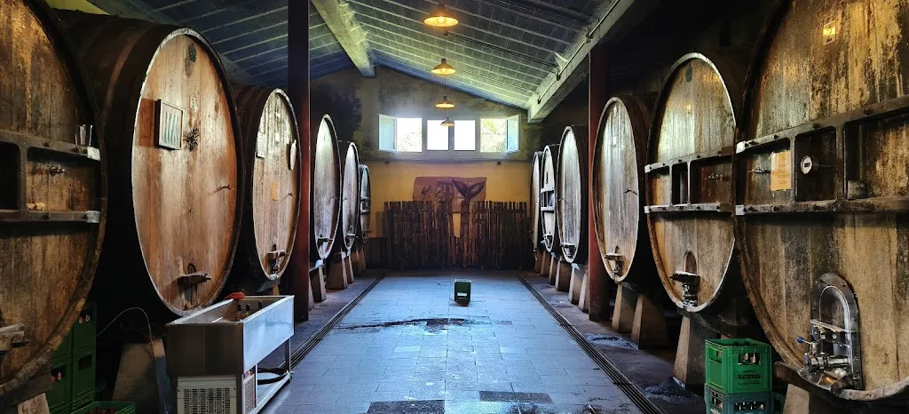 David Ballester_La Fonda_Sunbilla_review