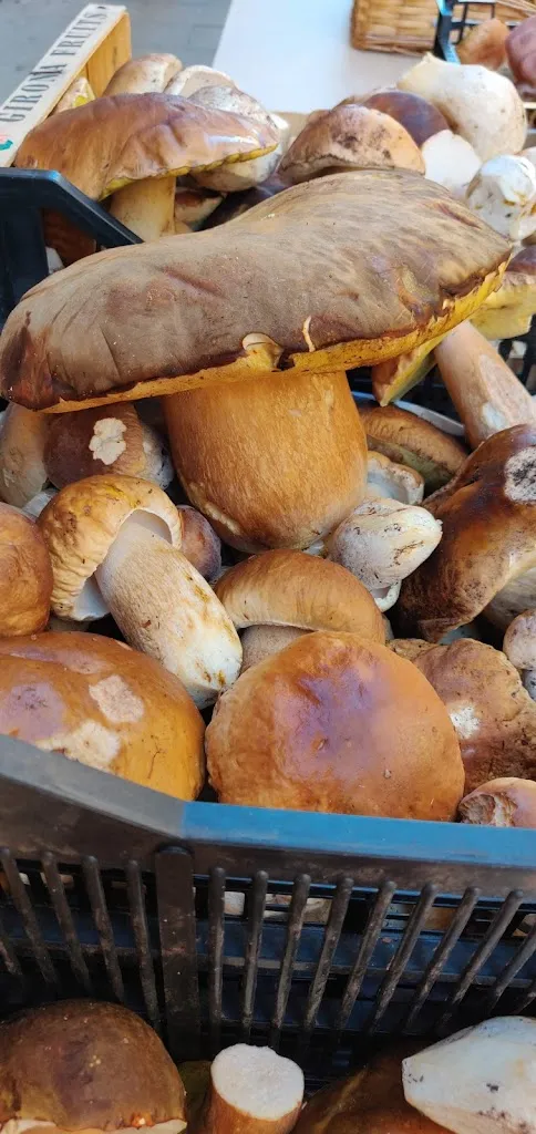 Menu_bar rebole_Sangüesa/Zangoza_immagine_7