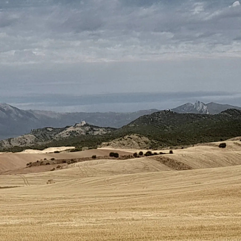 PILGRIM IN TORRES SL ristorante a Torres del Río