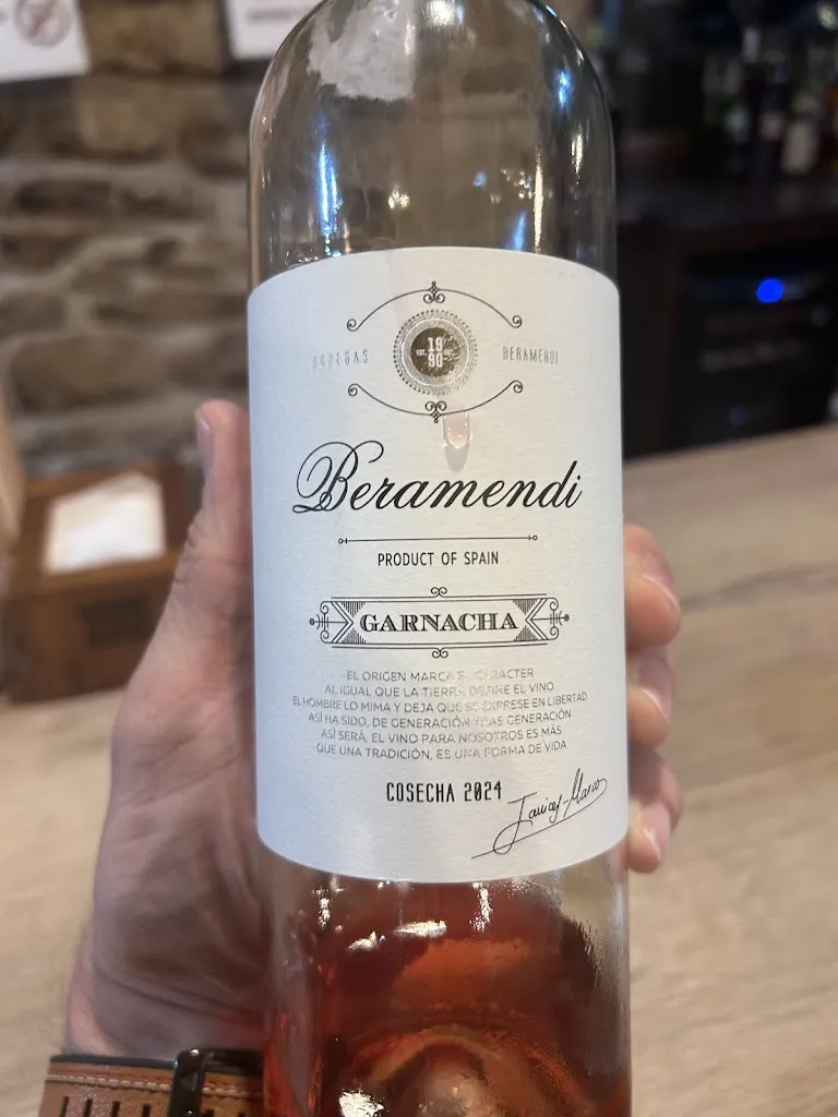 Alex_El Mesón_Torres del Río_review