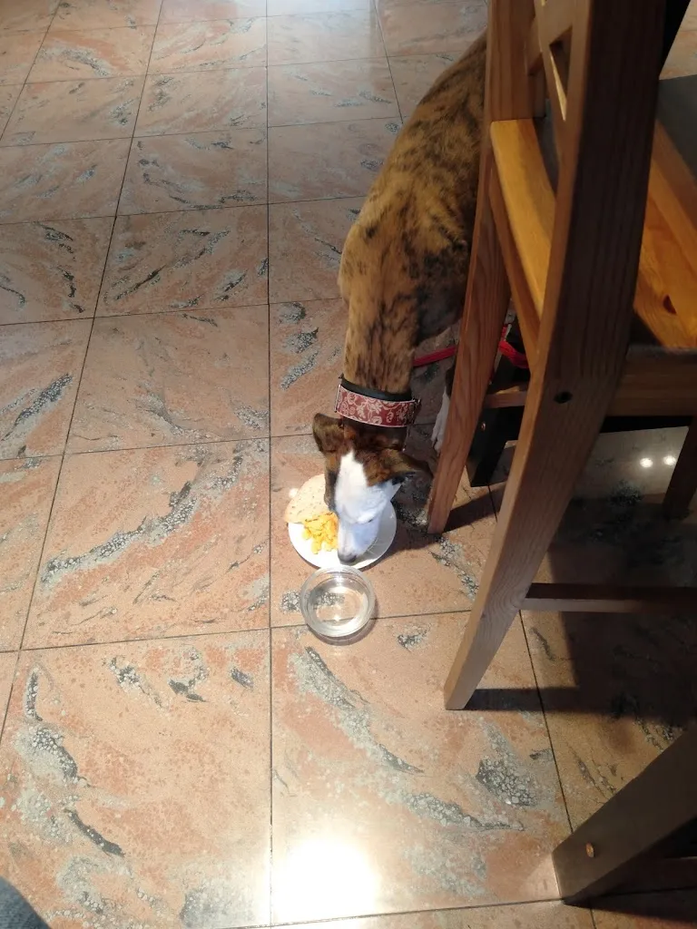 Natxete Péviz_Errege Bardeak Restaurant_Sarriguren_review