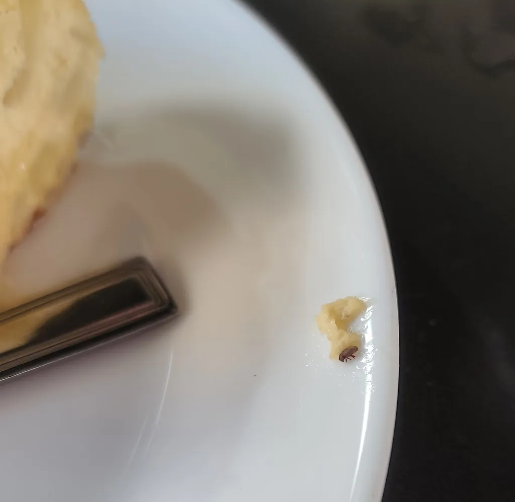 Izaskun Lapuente_Panakery_Sarriguren_review